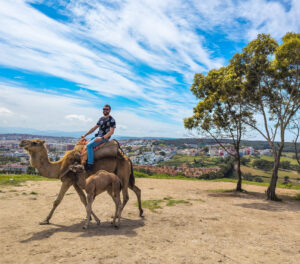 Read more about the article When the Wind Said No: A Remote Worker’s Escapes Around Tarifa and Beyond