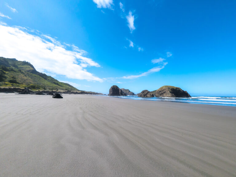 Read more about the article Oregon’s Dramatic Shores – Dunes, Quads, and a Bridge to Washington