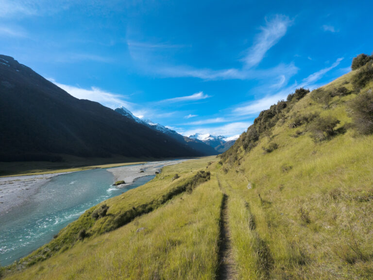 Read more about the article New Zealand Part 7: Iron, Mud, and the Art of Improvisation: The Wettest Week