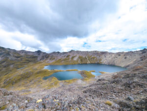 Read more about the article New Zealand Part 8: The Cargo Van Diaries and the Concrete Canyon