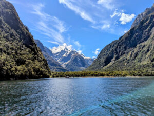 Read more about the article Gravity, Mud, and the Green Tunnel: 46 Days Sprinting Through New Zealand