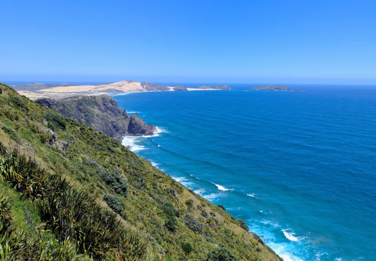 Read more about the article New Zealand Part 3: The Northern Road Trip, The Irish Legend, and The Race to the Airport