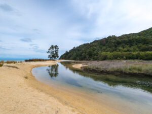 Read more about the article New Zealand Part 4: Saltwater, Rust, and the Art of Waiting: A South Island Initiation