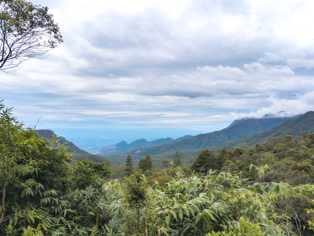 Scenic mountain panorama overlooking the lush forested ridges of the Serra da Mantiqueira