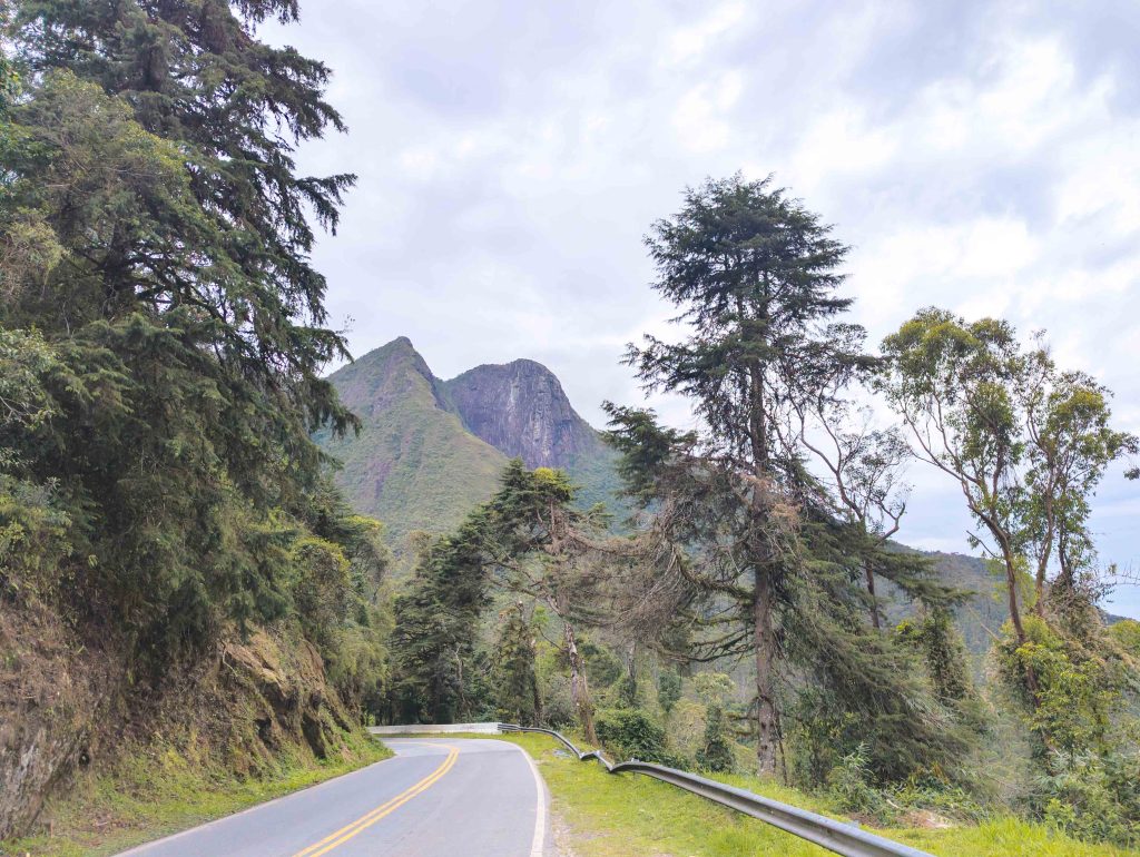 Winding two lane mountain highway curving past pine trees toward dramatic granite peaks