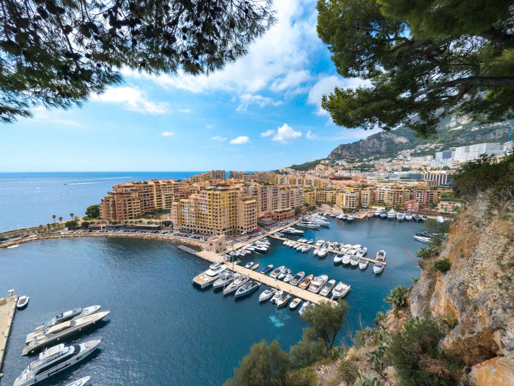 Port de Fontvieille harbor in Monaco framed by pine tree branches and towering limestone cliffs
